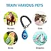 MODUS Pet Training Clicker for Dogs - Clicker with Adjustable Wrist Strap - Positive Reinforcement Clicker for Dogs, Cats, Puppies(Blue)