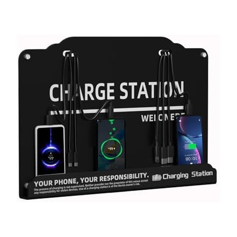 WELONEDEN Wall Mounted Charging Station Cover