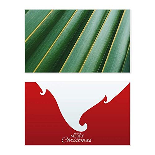 Carte de Noël Green Leaf : carte de vœux végétale illustrée pour les fêtes