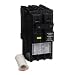 Square D by Schneider Electric HOM230GFIC Homeline 30 Amp Two-Pole GFCI Circuit Breaker,