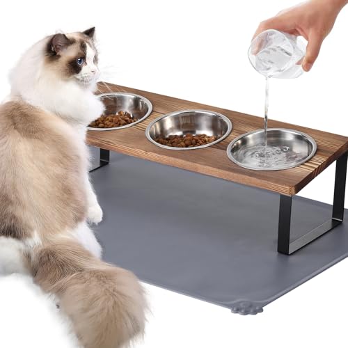 Upgraded Elevated Cat Bowls with Food Mat,15°Tilted Stand Anti Vo...