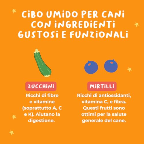 Nassfutter für Hunde, Monoprotein, mit Truthahn, mit Zucchini, Äpfeln und Blaubeeren, für erwachsene Hunde im Angebot, getreidefrei, ideal für empfindliche Hunde, hergestellt in Italien, 12 x 400 g