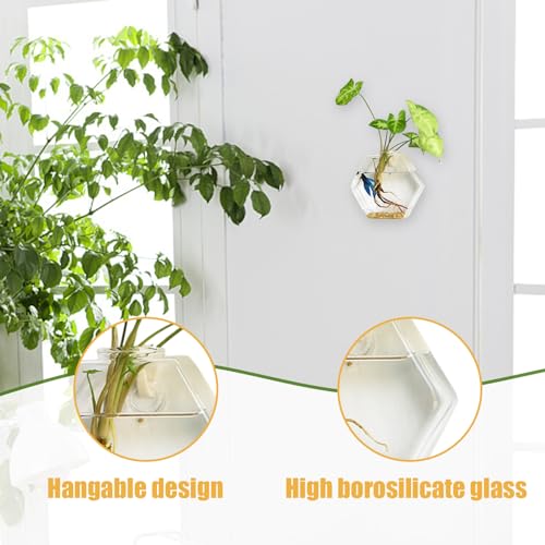 Station de propagation de la plante en verre de qualité supérieure pour mur - 5