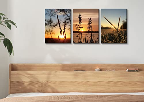 Kk·color Sunset Green Bristlegrass Modern Red Orange Pictures Paintings On Canvas Wall Art Stretched Canvas Prints Artwork For Living Room Bedroom Home Office Decorations 16"X12" 3 Piece #TOP7