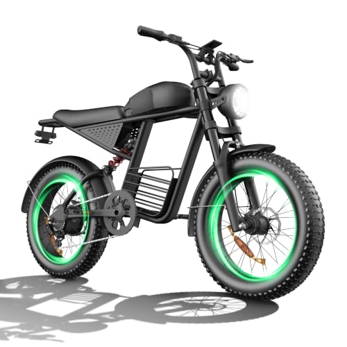 FLIWIN 1500W Peak Electric Bike