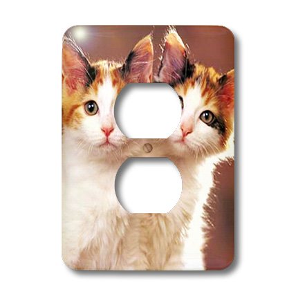 Chaton jumeaux cache prise double pour masquer les imperfections - 3