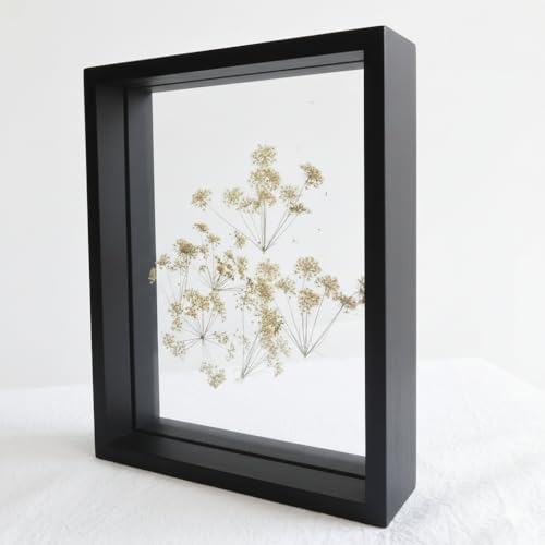 Image of Desi Rang Wooden Frame for Wall Decor Table top Hanging Any Green or dry plant Leaf Picture Photo DIY Gift Home decoration (Black,Sqr,12x12 inch,without leaf)