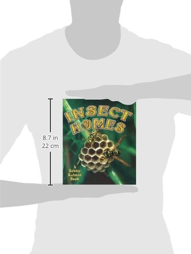Insect Homes (The World of Insects)
