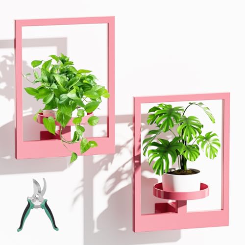 ALACOO Wall Shelves for Plants, Hanging Frame Decor Planter for