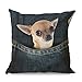 Ozdobna poszewka na poduszkę Chihuahua i torebka o wyglądzie lnu, z niewidocznym zamkiem błyskawicznym, na sofę, kwadratowa, dekoracyjna poszewka na poduszkę, na kanapę, do pokoju, wielokolorowa, 45 x 45 cm