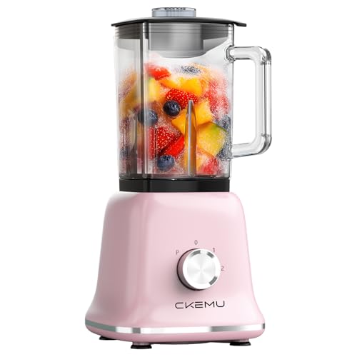 Professional 750W Glass Blender