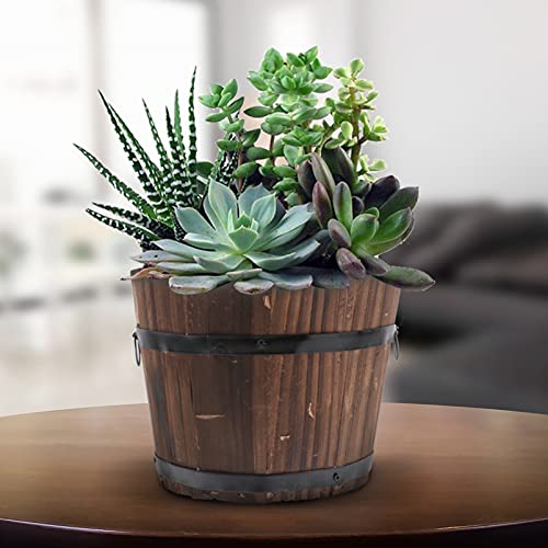 Healeved Wooden Whiskey Barrel Planter Wooden Garden Flower Pot Decor Plant Container Box Brown(Flat Mouth/Medium/Brown/15X12X13Cm) #TOP2