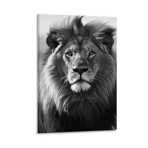 Toile murale lion africain noir et blanc 50x75 cm tableau suspendu salon et chambre