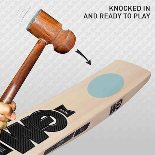 Image of GM Noir 303 English Willow Cricket Bat for Mens, Full Size - Mens with Free Bat Cover