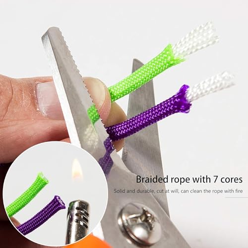 Wandefol 12 Farben 10 Fuß Paracord Schnur 550 Multifunktions Paracord Seile Set mit 24 Schnallen für DIY Handwerk, Survival, Camping, Alle Altersgruppen