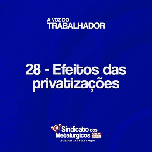 28: Efeitos das privatiza&ccedil;&otilde;es