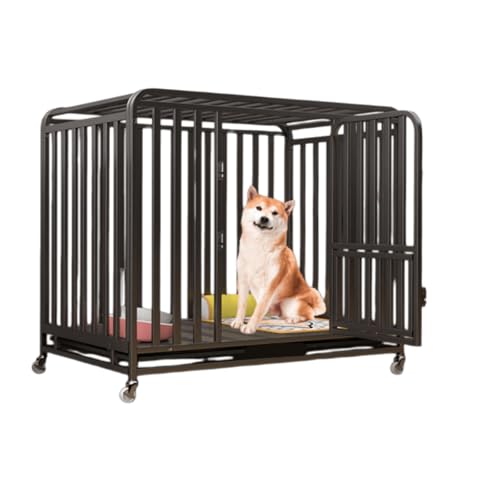 Youluck^pN[gAXeXAgݗĊȒPAőϋvALX^[tA^E^ɓKĂAogCtA/Oł̎gpɓKĂ܂ (ubNA125 x 95 x 110 cm)B (M - Zp`XNGA`[