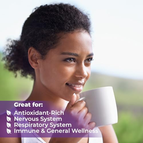 Image of 40 Bags Dried Eyebright Herb Tea Eyesight (Euphrasia) Eyebright Dried Herbal Tea - 40 Count 1.5 g Bags