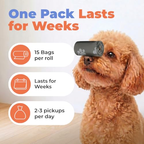 Image of Best Pet Supplies Dog Poop Bags (150 Bags) for Waste Refuse Cleanup, Doggy Roll Replacements for Outdoor Puppy Walking and Travel, Leak Proof and Tear Resistant, Thick Plastic - Gray