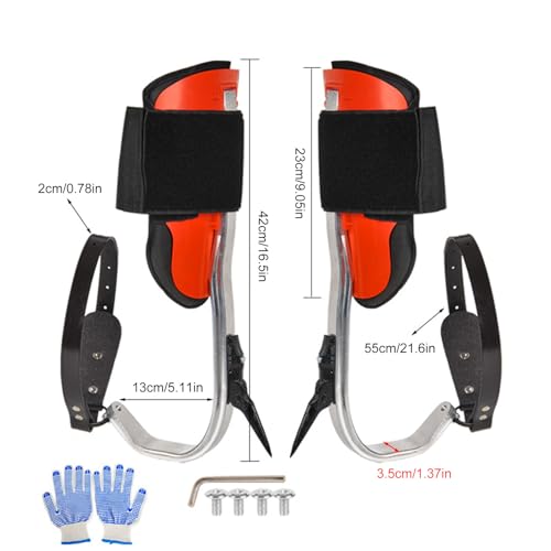 Crampons d'escalade d'arbre Teksome avec harnais complet - 5