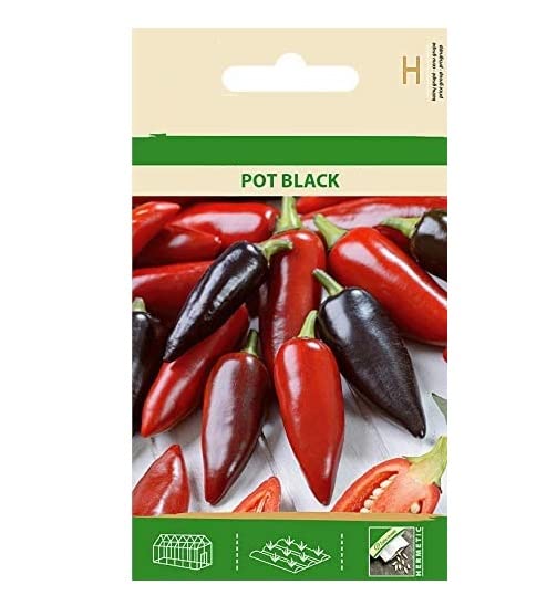 VibeX HOT Pepper Chilli POT BLACK Seeds-300 Seeds (B0B9Y2FGQB) Amazon Price History, Amazon Price Tracker