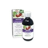 Naturalma Hawthorn (Crataegus oxyacantha) Leaf and Flower Alcohol-Free Tincture - 16.9 fl oz Liquid Extract in Drops - Herbal Supplement - Vegan