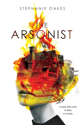 The Arsonist view 2