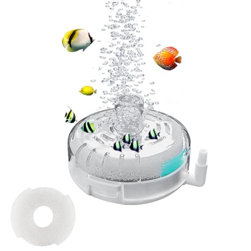 Mini Filtre D'aquarium Silencieux Betta Fry Crevettes et Petits Poissons Filtre Pour Petit Aquarium de 55 X 80 Mm Avec Mousse Filtrante et Pierres de...