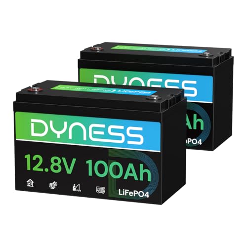 Dyness 12V 100Ah LiFePO4 Lithium Battery (2 Pack) BCI Group 31 with Low-Temp...