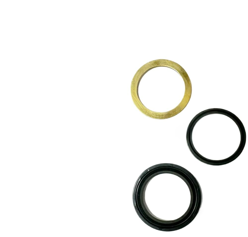 Amazon.com: 1pc oil pump motor high-pressure skeleton oil