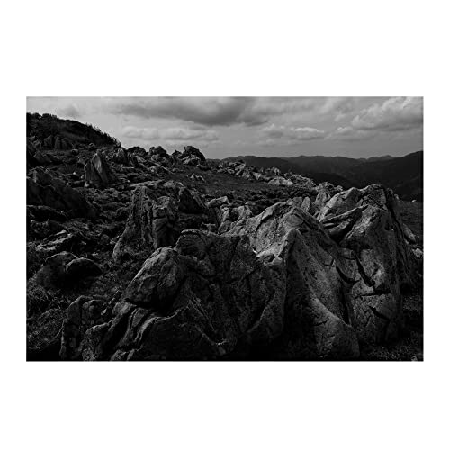 Tamron 17-70mm f/2.8 Di III-A VC RXD X