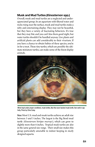 Red-Eared Sliders: From the Experts at Advanced Vivarium Systems (CompanionHouse Books) Choosing a Turtle, Diet, Housing, Breeding, Health, and Painted, Mud, and Musk Turtles - Image 7