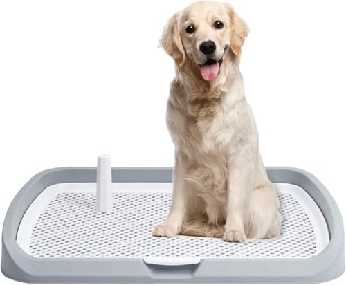 Riuuyyi ybggCC[ ^gC gC Ch pgC }[LO|[tgC g[ gCg[ t`t g[jO  ^ bV EH[g[ pgC{bNX/O (O[ł)