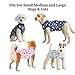 Aimydog Dog Surgery Recovery Suit, Recovery Suit for Dogs Male Neuter, Soft Spay Suit for Female Dog,Anti-Licking Breathable Onesie for Small Medium Large Dogs Cats