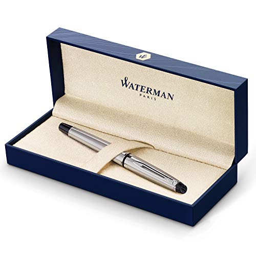 Waterman Expert���N�MStainless�X�`�[��with�S�[���h�g���� Fine nib