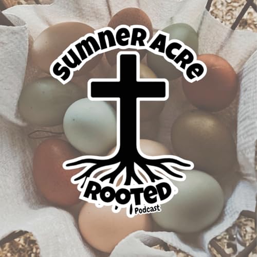 Rooted by SumnerAcre Titelbild