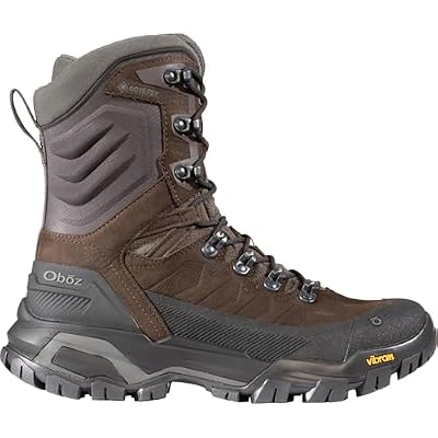 Oboz Men's Bridger Peak GTX Hiking Shoe