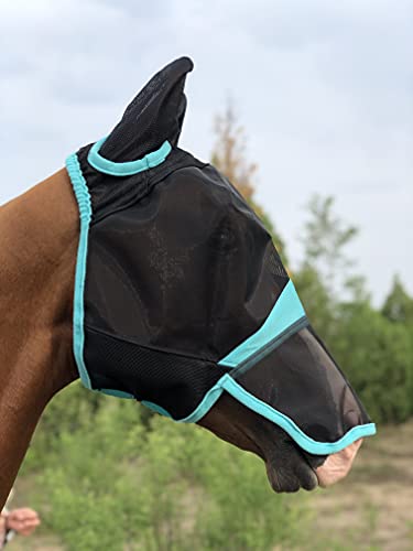 Tgw Riding Horse Mask Full Face Mesh Fly Mask Fine Mesh With Ears And Long Nose (Warmblood, Black/Turquoise) #TOP2