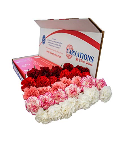 Flowerprime Valentine's Day Carnations - Special Holiday Variety Pack Fresh Natural Cut Flowers (50) #TOP4