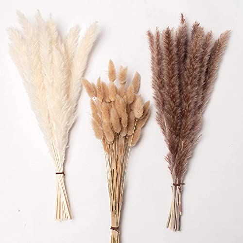 Pampas Grass Large 15 Pcs Flores Secas Naturales Decoración miniatura 7