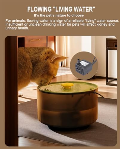 Fuente de agua automática para gatos y perros 3L miniatura 5