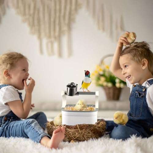Image of Desktop Bird Stand, 6.3x6.3x3.35 Inch Portable Parrot Perches with Stainless Steel Food Cup Tabletop Play Training Rest Toilet Stand for Birds Parrots Parakeets Budgies Finches