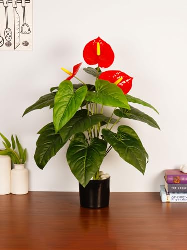 Image of ARICK DECOR 2.1Ft Artificial Anthurium Plant with 18 Leaves, 65cm Tall Faux Tropical Flamingo Flower in Black Pot, Realistic Large Silk Leaf Potted Tree for Home, Office & Interior Styling