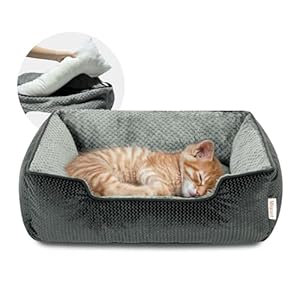 Miguel Cat Bed for Indoor Cats Washable Removable Cover – Small Pet Bed with Side Square Dog Bed Rectangle Soft Puppy Bed Bolster Cuddle Kitten Bed with Wall Non-Slip Bottom, Dark Gray 20 Inch
