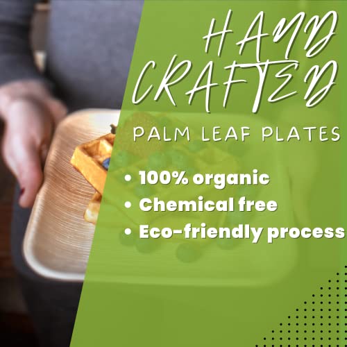 Shy Leaf Bamboo Plates - 6" (60 PACK) + 120 forks & knives