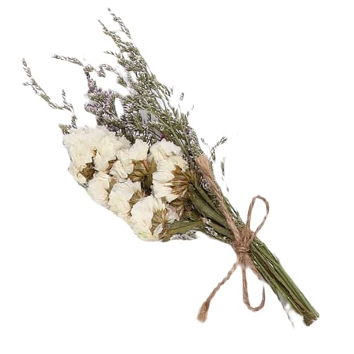 Ramo pequeño de flores secas, 12 piezas hechas a mano miniatura 4
