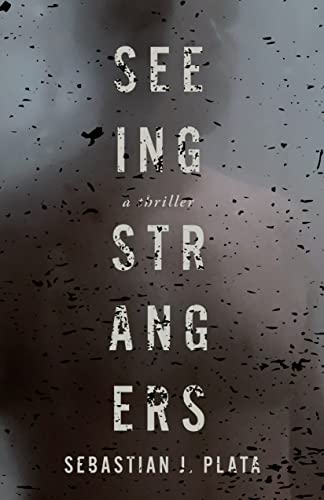 Seeing Strangers view 2
