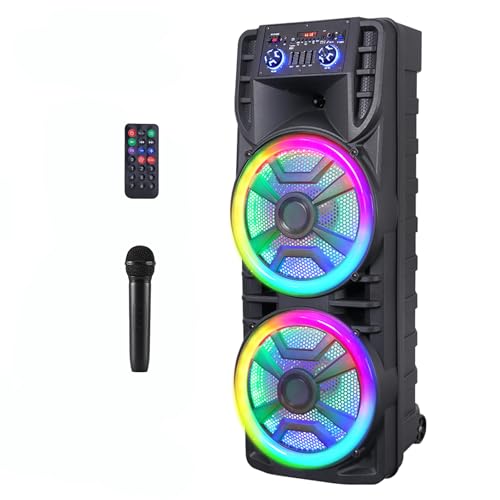 ROXAAN Dual 12’’ Wireless Party Bluetooth Speaker with Microphone, Remote, Portable PA Speaker System, RGB LED Party Lights, Karaoke Machine with Treble & Bass, FM/AUX/USB/TF/TWS/Echo