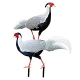 Hohopeti Estacas Acrílicas de Jardín Forma de Faisán y Gallina Decoración de Patio y Césped Diseño 3D Resistente para Exteriores Set de 2 Unidades para Adornar Jardines y Entradas
