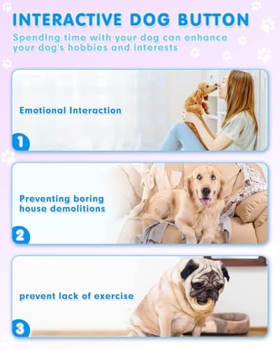 Dog Pressing Communication Button on Mat